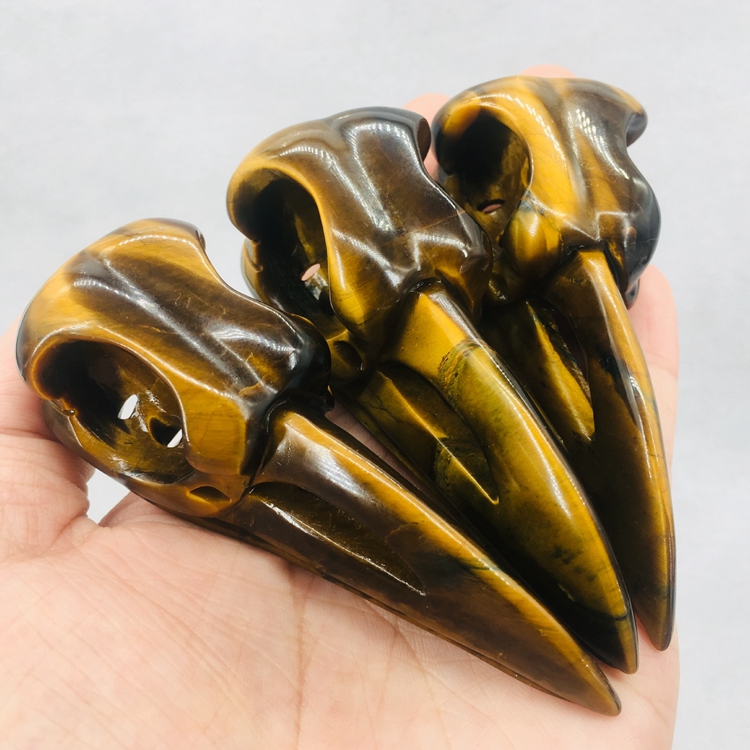 tiger eye crow skull